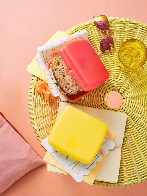 Boîte à fruits en silicone pour pique-nique avec fourchette Récipient